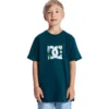 Camiseta de manga corta DC Star Filled para niños Camiseta de manga corta DC Star Filled para niños