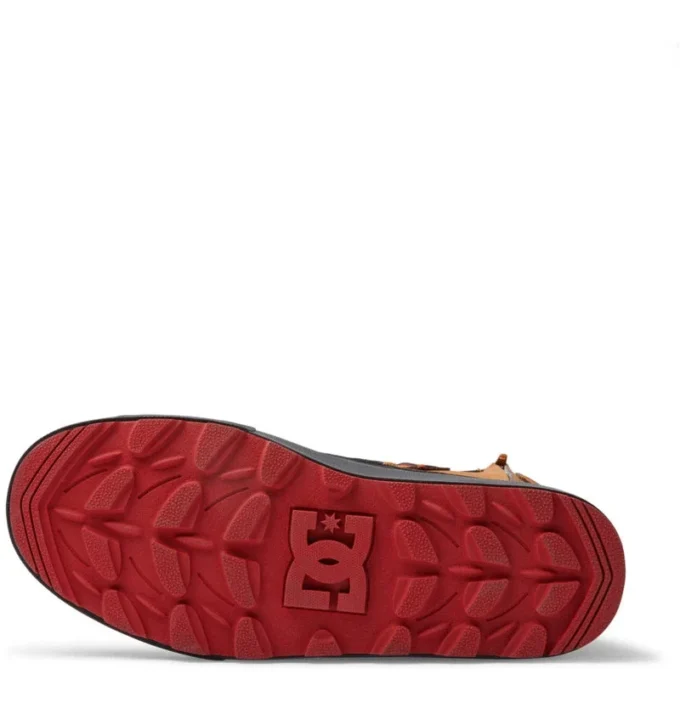 Zapatos resistentes al agua DC Reach para hombre Zapatos resistentes al agua DC Reach para hombre